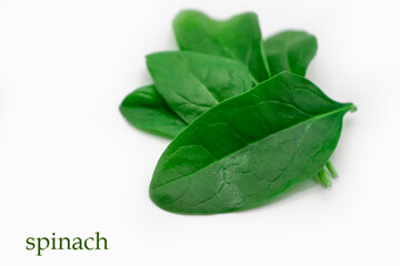 spinach leaf isolated on white background