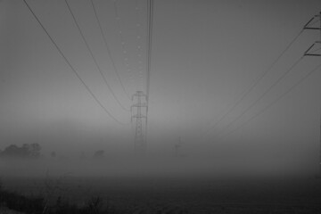 niebla eléctrica
