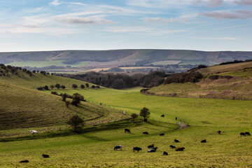 Looking out over the South Downs at Oxteddle Bottom, near Lewes in Sussex © lemanieh