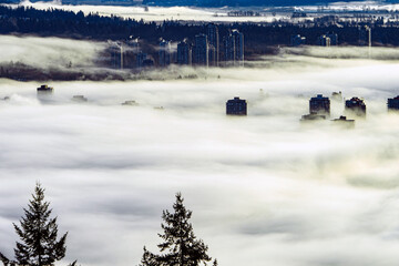 High-rise towers in foreground poking through dense cloud inversion carpeting Fraser Valley, BC, while mist across towers in background creates translucent illusion.