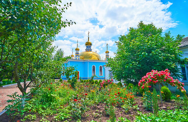 The blooming roses in garden of Archangel Michael Nunnery, Odessa, Ukraine