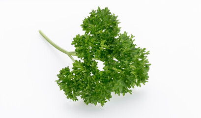 Bio parsley leaf on white background.