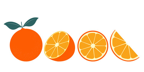 Set of fresh oranges. Orange fruit isolated on white background. Vector illustration for design and print