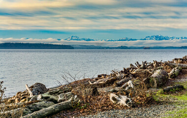 Ocean And Mountains 4