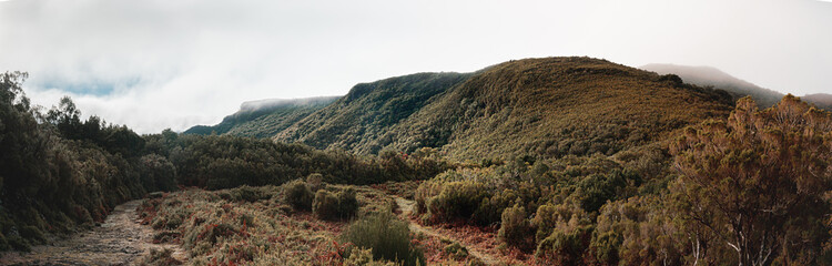 Natur und Wanderweg auf Madeira, Portugal