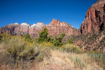 Beautiful Landscape in Zion Nationalpark, Utah, USA