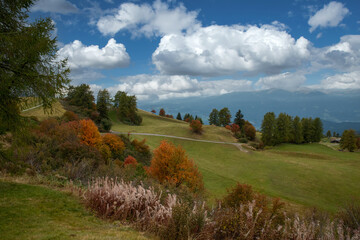 Fototapeta premium Herbst auf der Seiseralm, Südtirol