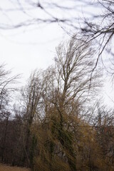 Sturm windig Berlin Weissensee