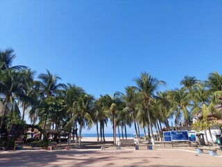 Fototapeta na wymiar Palm trees by the beach in Playa Zicatela, Puerto Escondido, Mexico