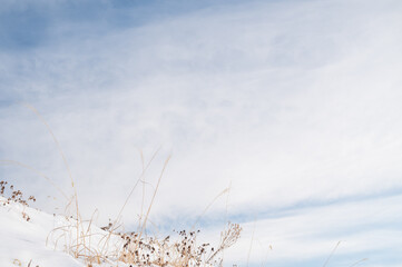 青空と雪と枯草