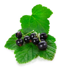 Black currant berries with leaves isolated on a white background.