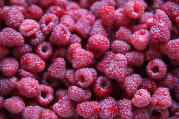 Ripe raspberry background, top view	