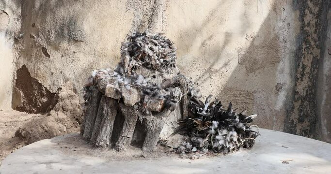 Tongo Hills Tengzug Shrines sacrifice altars Bolgatanga Ghana. The Tengzug Shrine, famous once a hideout for slaves evading their captors. Traditionally for religious animal sacrifices.