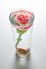 pink carnation in a glass vase with water bubbles