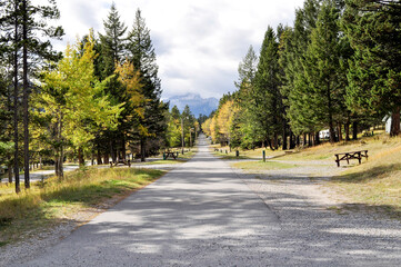 Main road of Tunnel Mountain Campground