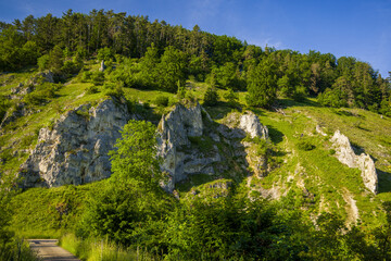 Felsen im kleinen Lautertal  auf der Schwäbischen Alb bei Herrlingen