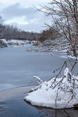 Winter on the lake in the deciduous forest