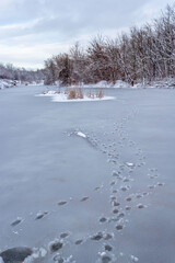 Footprints on the thin ice of the lake