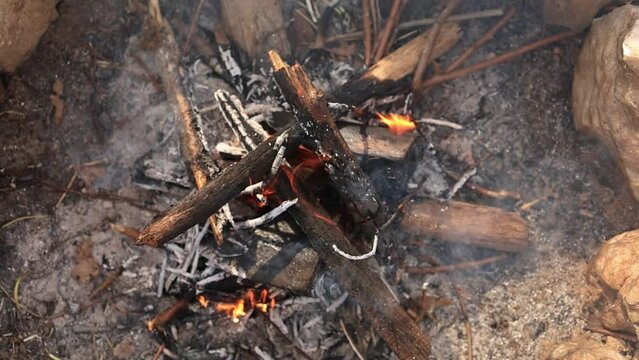 Campfire with smoke details burning wood