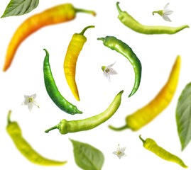 Falling green and yellow chili peppers with flowers and leaves