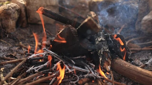 Campfire with smoke details burning wood