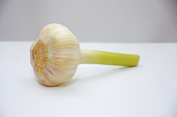 garlic, a head of garlic on a white background, young garlic