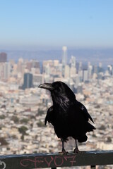 san francisco, californie