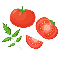 Vector set of fresh tomatoes in flat style. Cut tomato, slice and leaves isolated on white background. Illustration of healthy vegetable food, organic ripe fresh natural