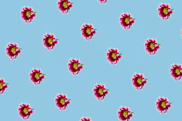 Spring pattern with purple flowers on the pastel blue background