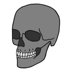 Human skull flat icon. Cranium doodle art on white background.