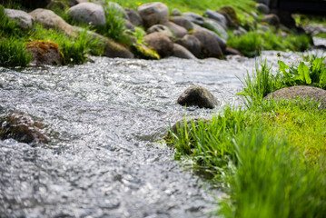 Rzeka w Zakopanem.