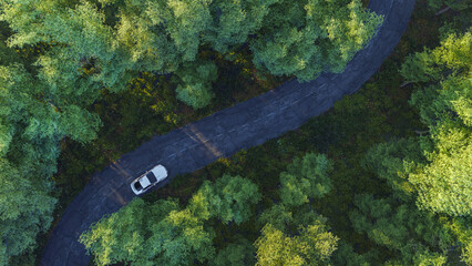 Adventure morning road trip in the forest, aerial view of a car in jungle road. On The Road Again concept and adventure travel background.