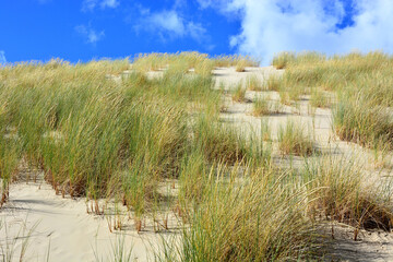 Moving sand dunes in Slowinski National Park near Leba in Northern Poland