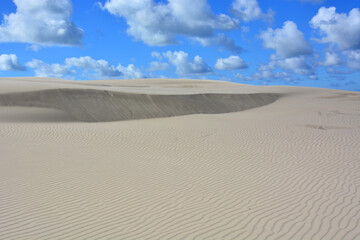 Moving sand dunes in Slowinski National Park near Leba in Northern Poland