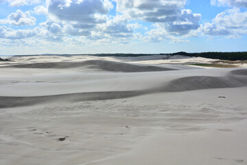 Moving sand dunes in Slowinski National Park near Leba in Northern Poland