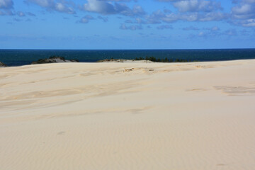 Fototapeta na wymiar Moving sand dunes and Baltic Sea in Slowinski National Park near Leba in Northern Poland