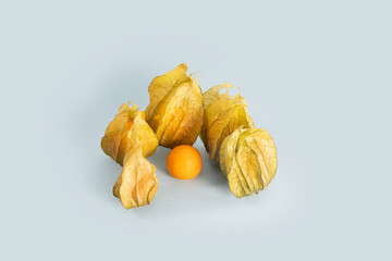 Physalis - Peruvian Cinquefoil - a beneficial crop from South America photographed on a white background.