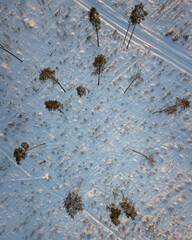 View of the winter forest from above. Moscow region