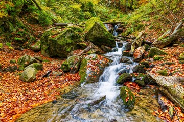 Mountain river with autumn leaves