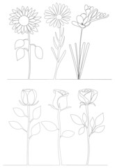 roses, flowers one line outline, sketch, vector