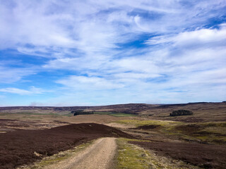 Upland dry track winding across a moor through heather in the summer