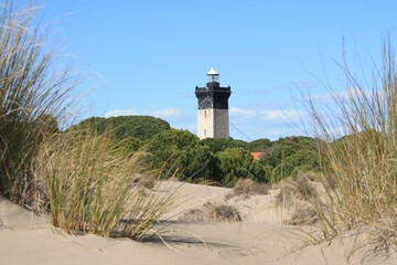 The famous Espiguette beach, a beautiful sandy beach in Camargue, France