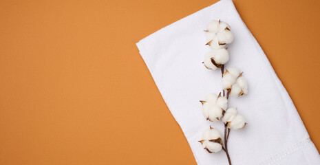 folded white cotton terry towel and sprigs of cotton flower on a orange background, top view