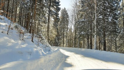 Zima, śnieg, drzewa