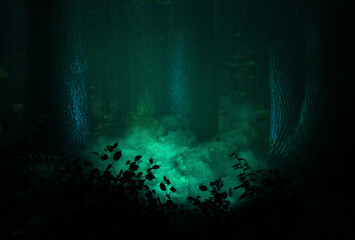 Magical forest and mysterious smoke between old trees and leaves silhouettes.  Enchanted woods landscape in darkness