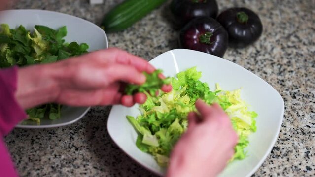 Preparation of a fresh green letuce salad.