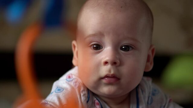 Newborn Active Baby Cute Smiling Teethless Face Portrait Early Days On Stomach Developing Neck Control. 5 Months Child In Playpen Gnaws Toys Look At Camera. Infant, Childbirth, Beginning Concept
