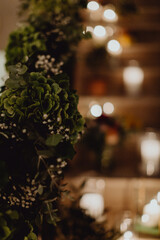 Décoration végétal et ambiance hivernale