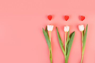 White tulip flower with hearts, side view. Beautiful three white tulip flower on stem with leaves...