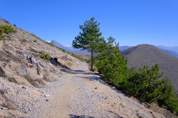 Walking path at  Sirente Velino Natural Regional Park in Abruzzo, Italy